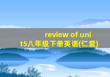 review of unit5八年级下册英语(仁爱)